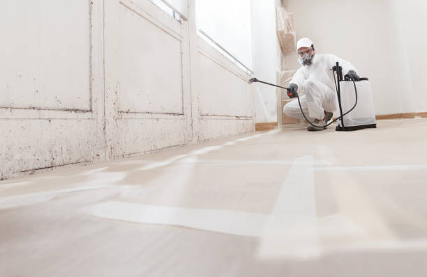 24/7 Emergency Mold Remediation experts in Fountainville, PA
