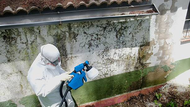 Top rated local Mold Remediation specialists in Fountainville, PA